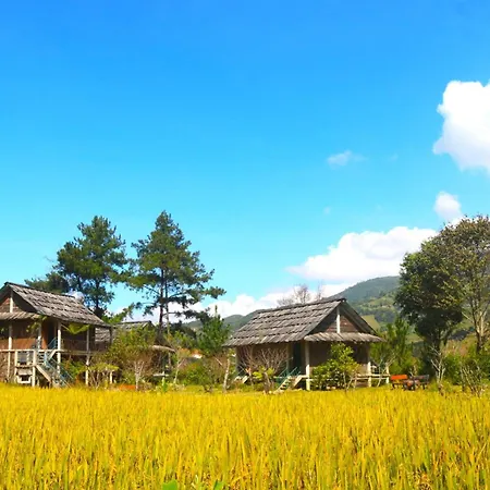 Lapantan Paradise Mu Cang Chai Exterior photo